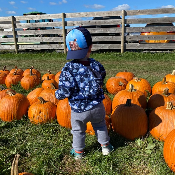 Meet your Posher, Mallory - Picture 1 of 1